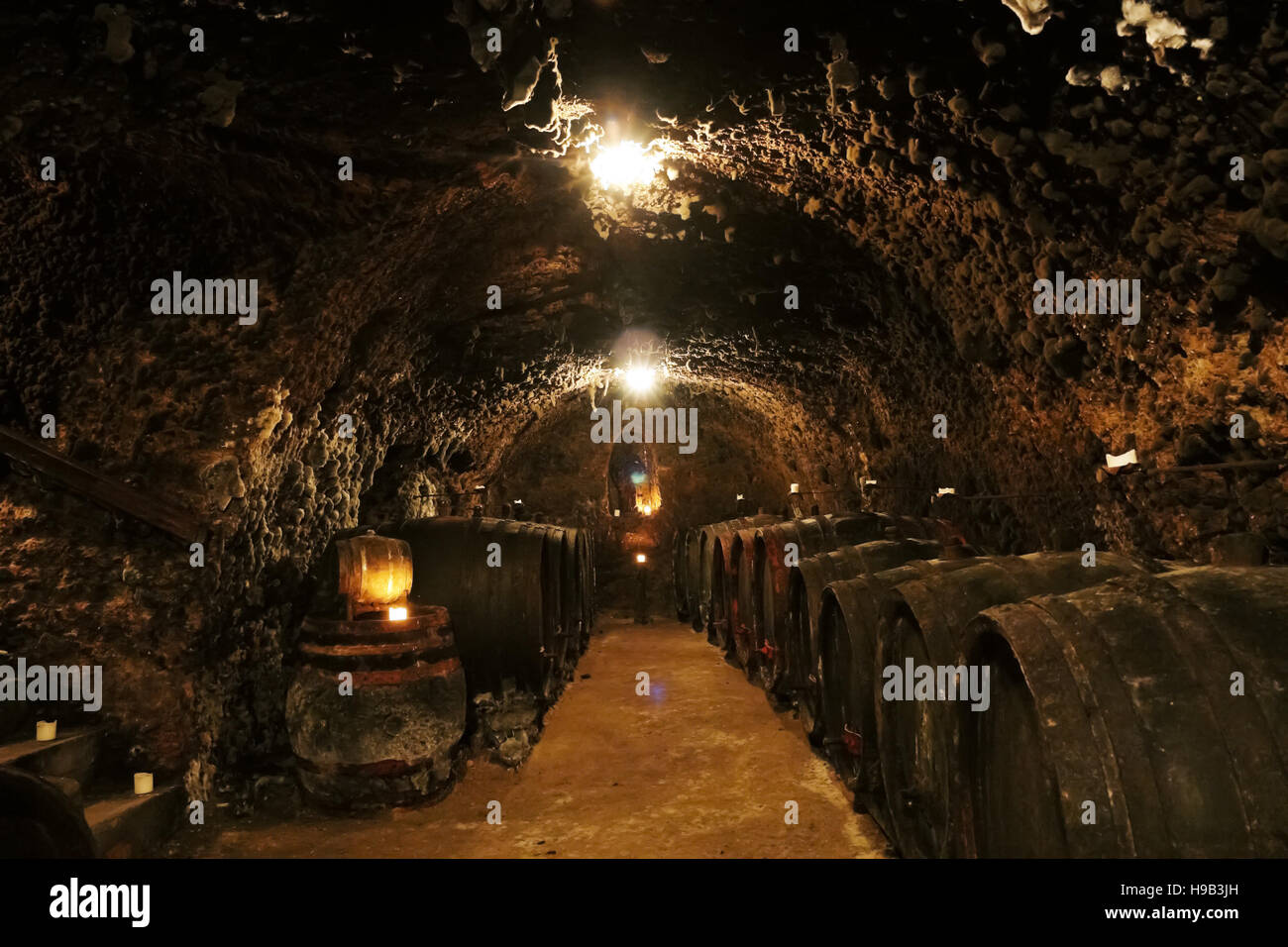 Vieux vin caves à vins de barils dans l'ARNT Mala, village de la vallée de Tokaj en Slovaquie. Banque D'Images