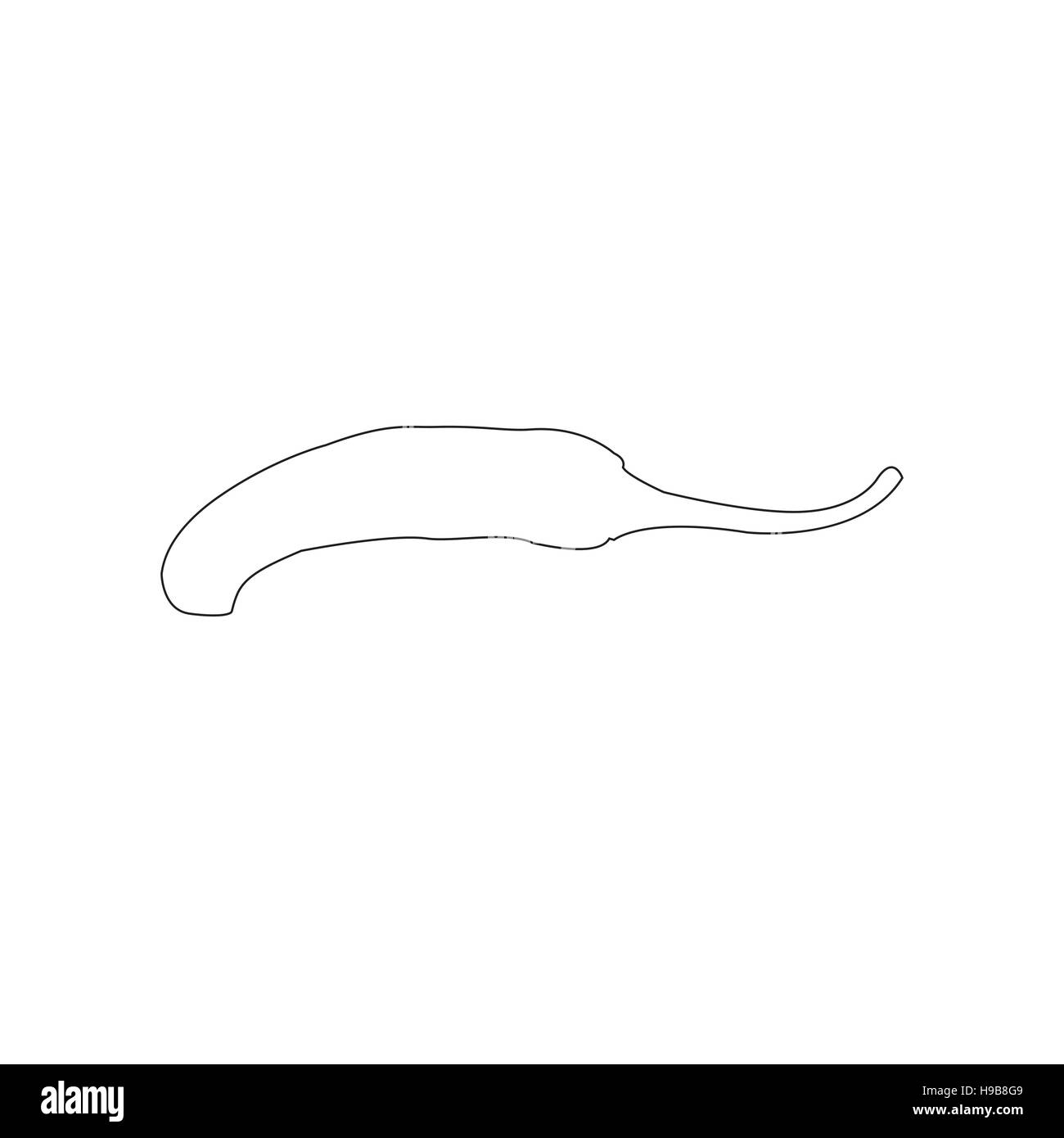 Chemin de Chili sur le fond blanc Illustration de Vecteur