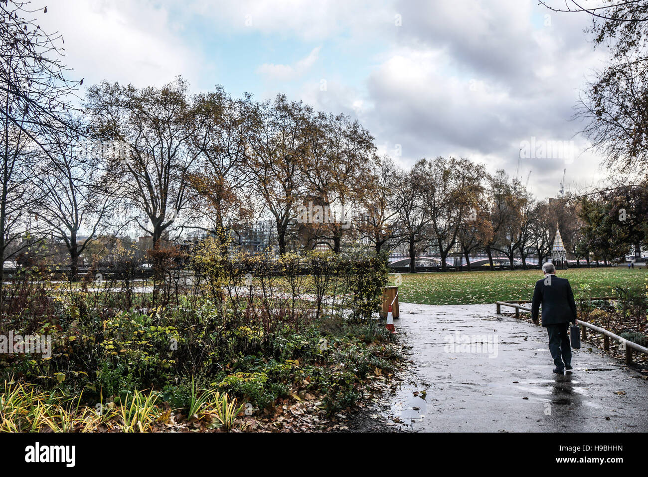 Londres, Royaume-Uni. 21 Nov, 2016. Météo La pluie de Londres, Victoria Tower Garden sur 21th Novembre 2016, London,UK Crédit : Voir Li/Alamy Live News Banque D'Images