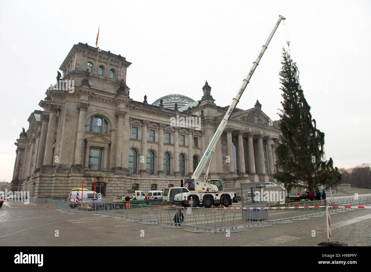 Berlin, Allemagne. 22 Nov, 2016. Un arbre de Noël est errected à l'aide d'une grue à l'extérieur du bâtiment du Reichstag à Berlin, Allemagne, 22 novembre 2016. Les 27 m de haut sapin est de plus de 60 ans. Photo : Paul Zinken/dpa/Alamy Live News Banque D'Images