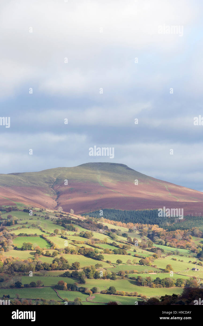 Au cours d'automne Pain de sucre dans la vallée de l''Usk Brecon Beacons National Park, Monmouthshire, South Wales, UK Banque D'Images