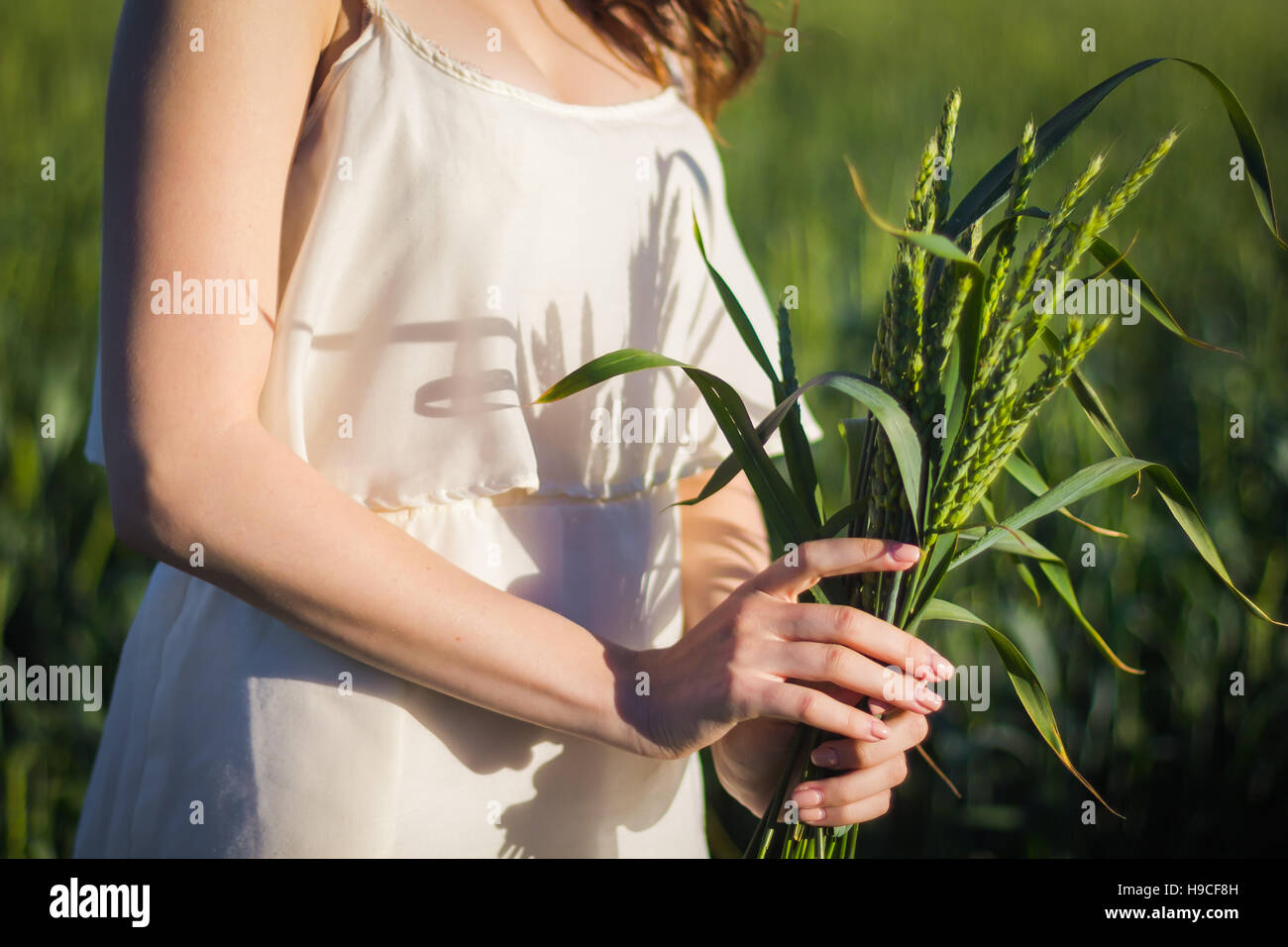 Une jeune fille tenant un bouquet de blé vert, l'heure d'été Banque D'Images