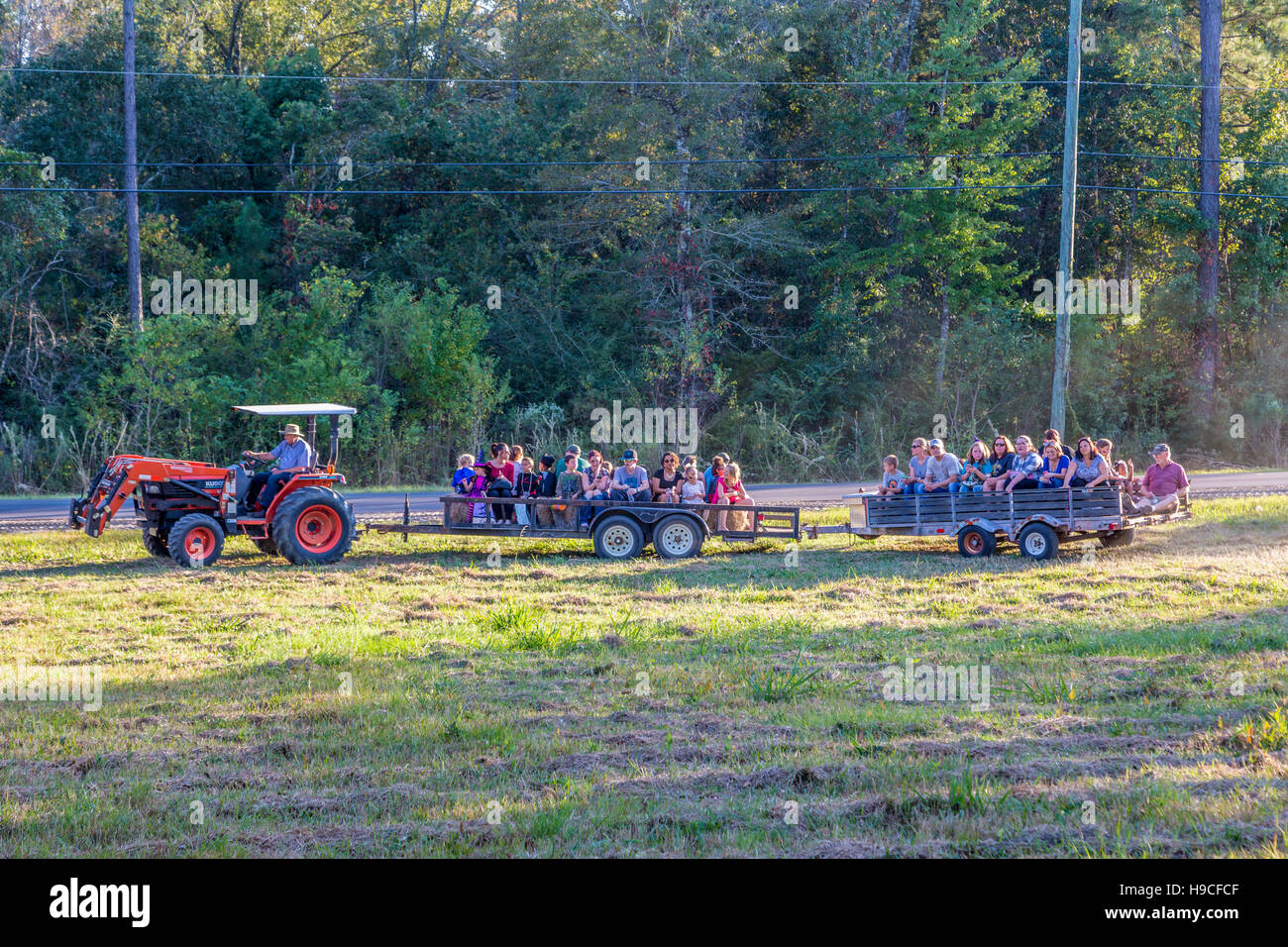 Le tracteur tire des remorques des invités lors d'un tour de foin lors d'un festival baptiste de l'automne à Gulfport, Mississippi Banque D'Images