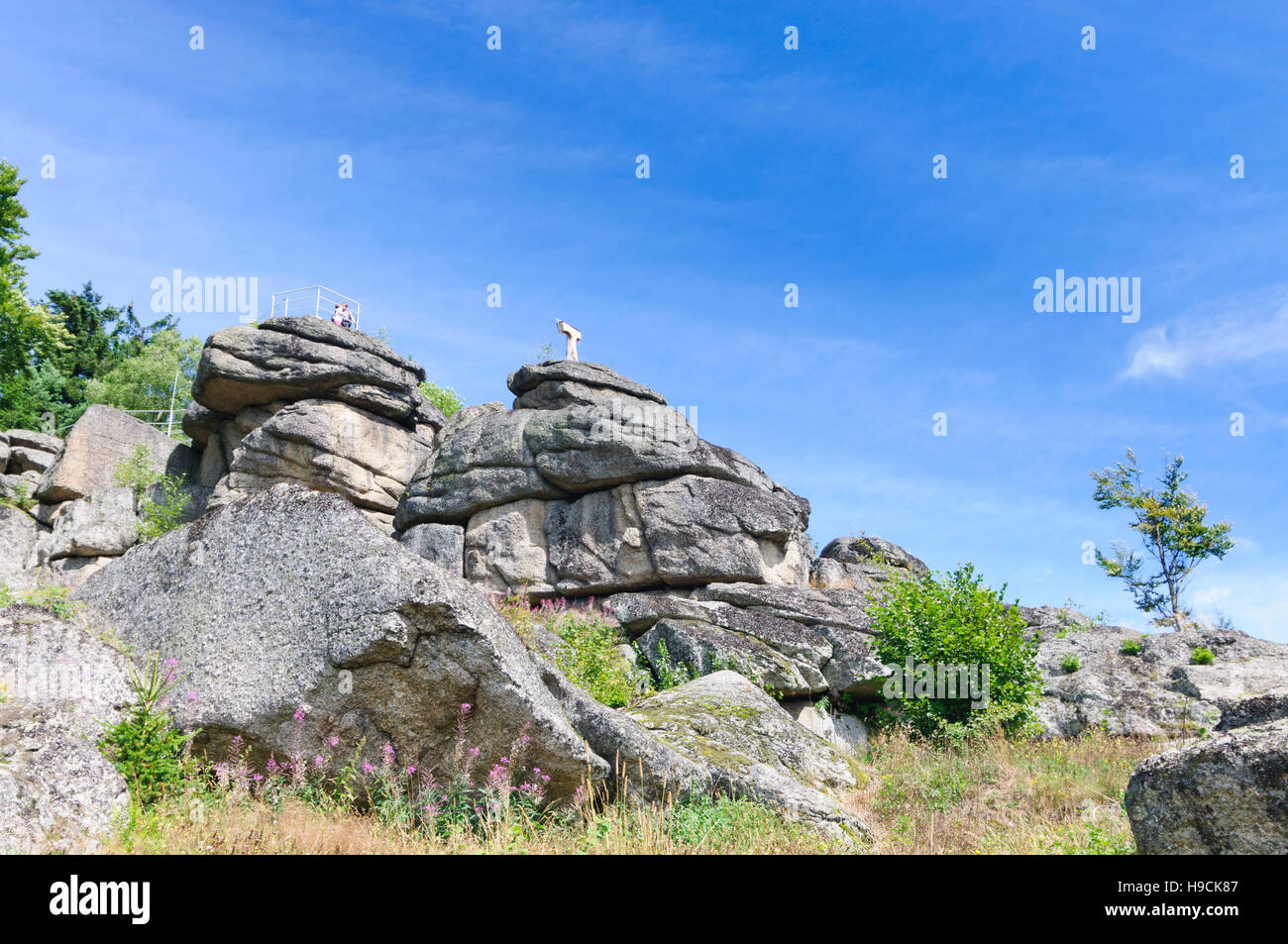 Bad Traunstein : roche de granit Wachtstein, Waldviertel, Niederösterreich, Basse Autriche, Autriche Banque D'Images