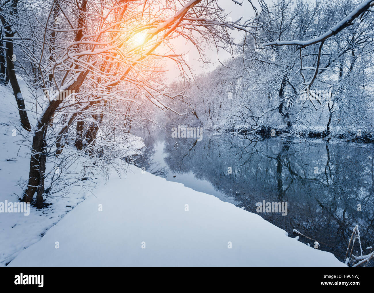 Forêt d'hiver sur la rivière au coucher du soleil. Paysage coloré avec snowy trees, rivière gelée avec la réflexion dans l'eau Banque D'Images