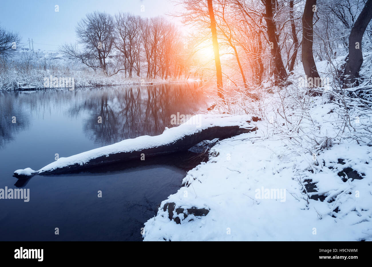 Forêt d'hiver sur la rivière au coucher du soleil. Paysage coloré avec snowy trees, belle rivière gelée avec la réflexion dans l'eau Banque D'Images