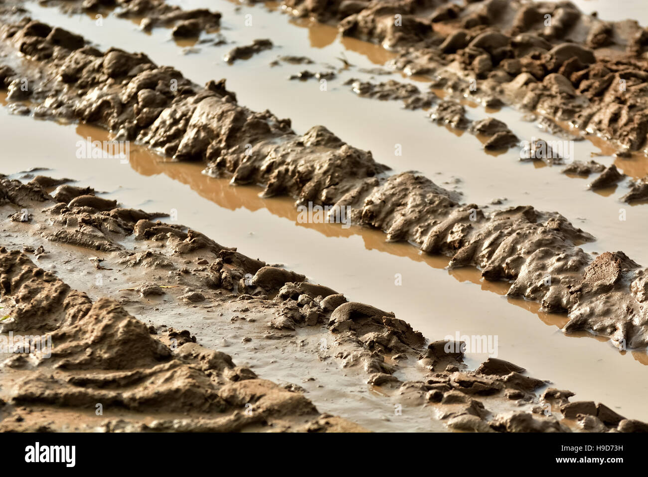 La texture de la piste de roue sur le sol sale. Banque D'Images