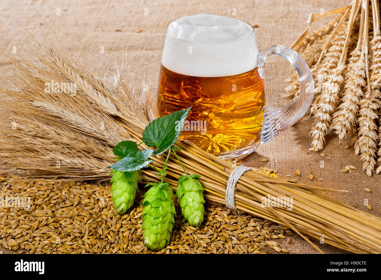 Verre de bière et la matière première pour la production de bière Photo  Stock - Alamy