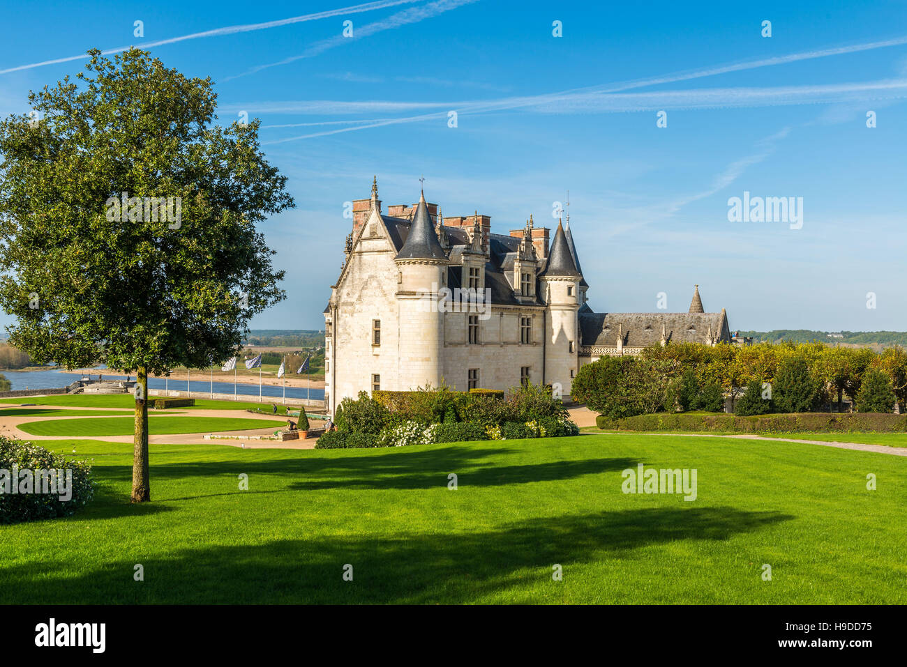 Le "Château d'Amboise château' (centre de la France). Banque D'Images