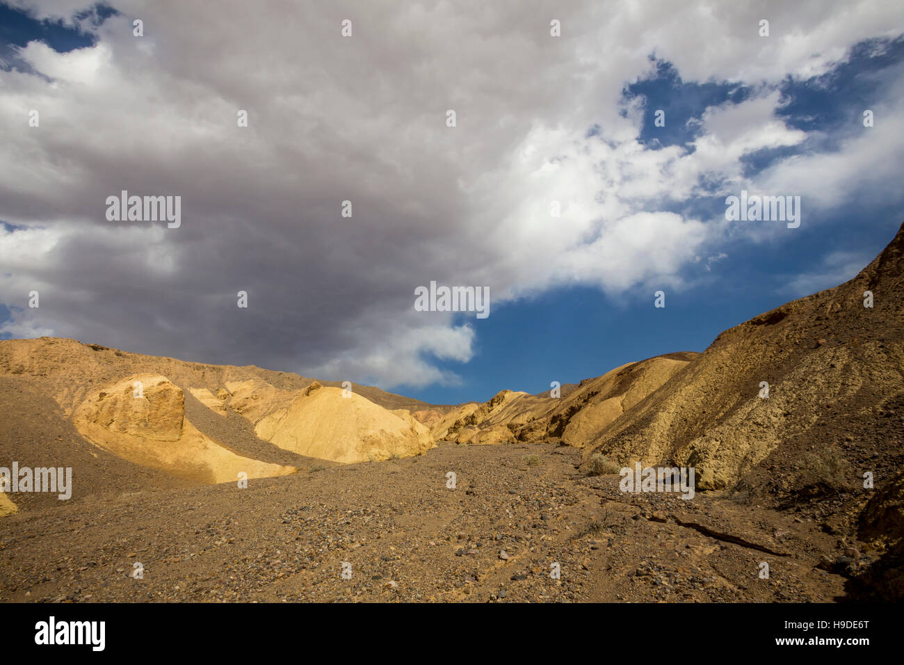 Paysage désertique, le long de la route, Badwater, Death Valley National Park, Death Valley, Californie Banque D'Images
