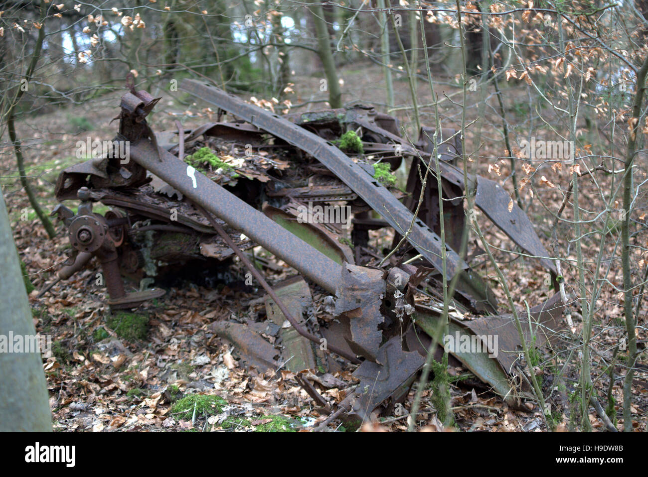 Vieille carcasse de voiture brûlée dans la forêt ou les bois Banque D'Images