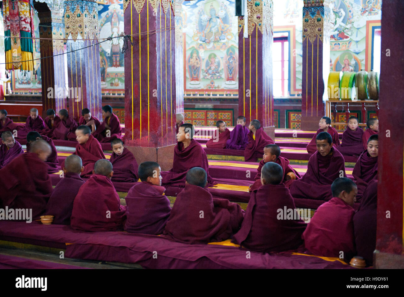 Les moines novices au monastère de Tawang participer à matin puja, ou de prières. Banque D'Images