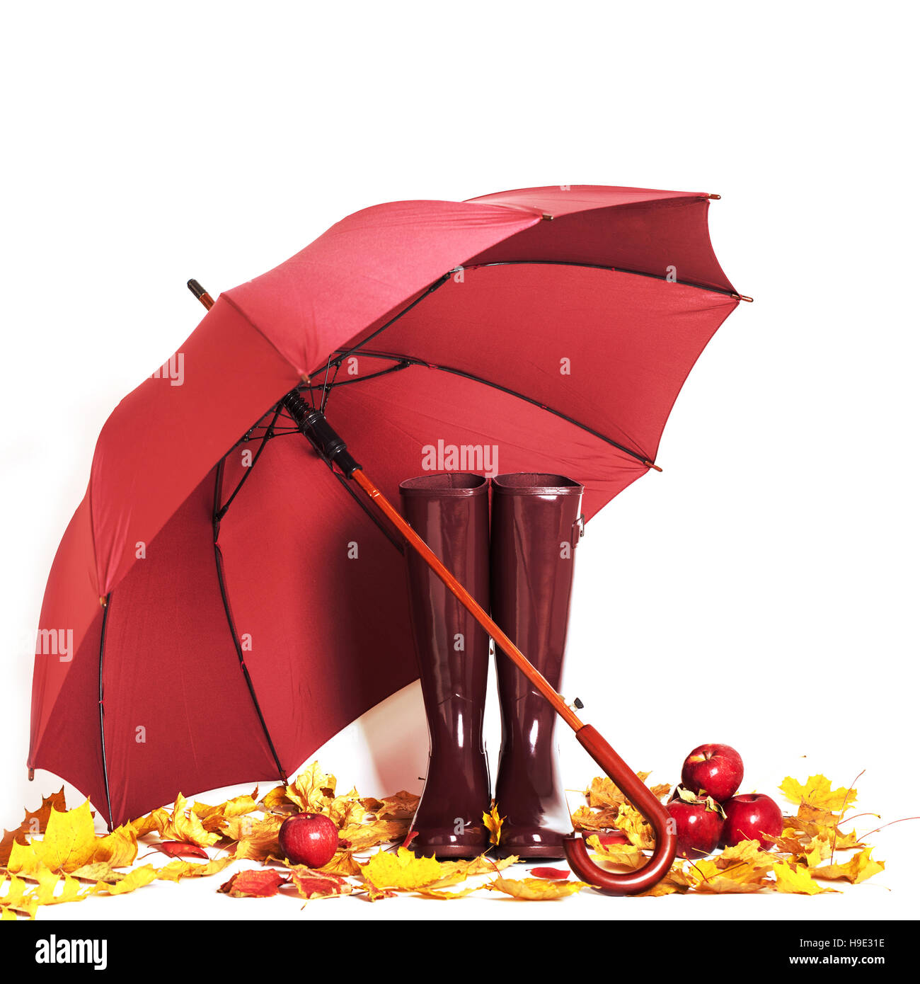 Concept d'automne. Bottes en caoutchouc et couleur parapluie Marsala. Banque D'Images