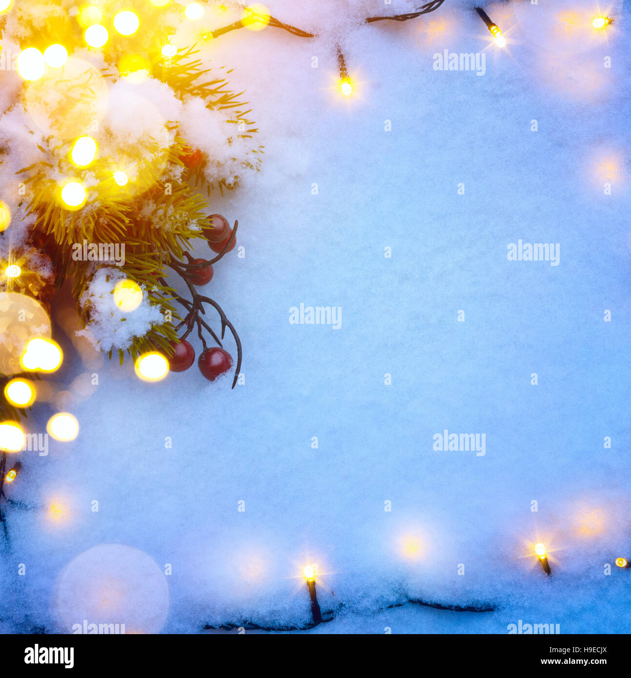 Noël arrière-plan bleu de neige sapin et jours fériés la lumière. Composition de Noël ; du vrai hiver neige ; Haut vue, télévision lay Banque D'Images