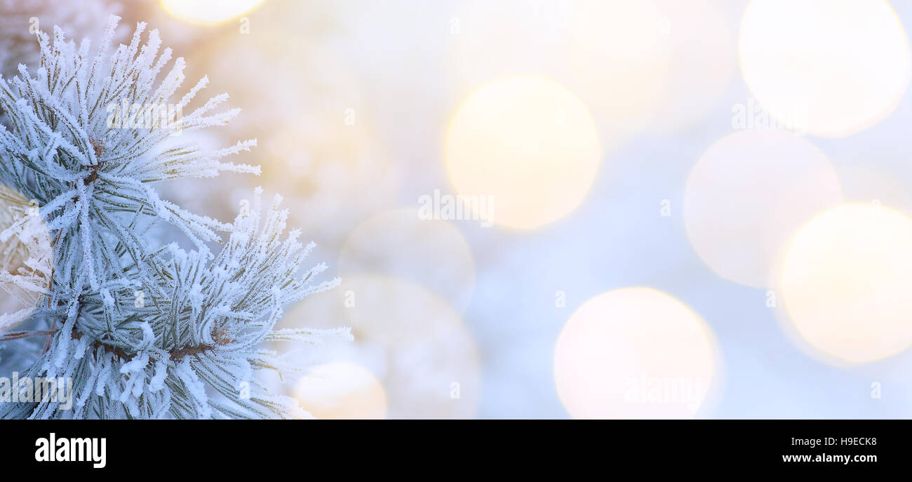Arbre de Noël et les vacances de neige légère ; arbre de Noël ; l'arrière-plan du vrai hiver neige Banque D'Images