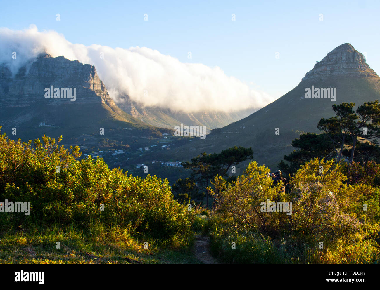 Tête de Lion à partir de Signal Hill, à Cape Town, Afrique du Sud Banque D'Images