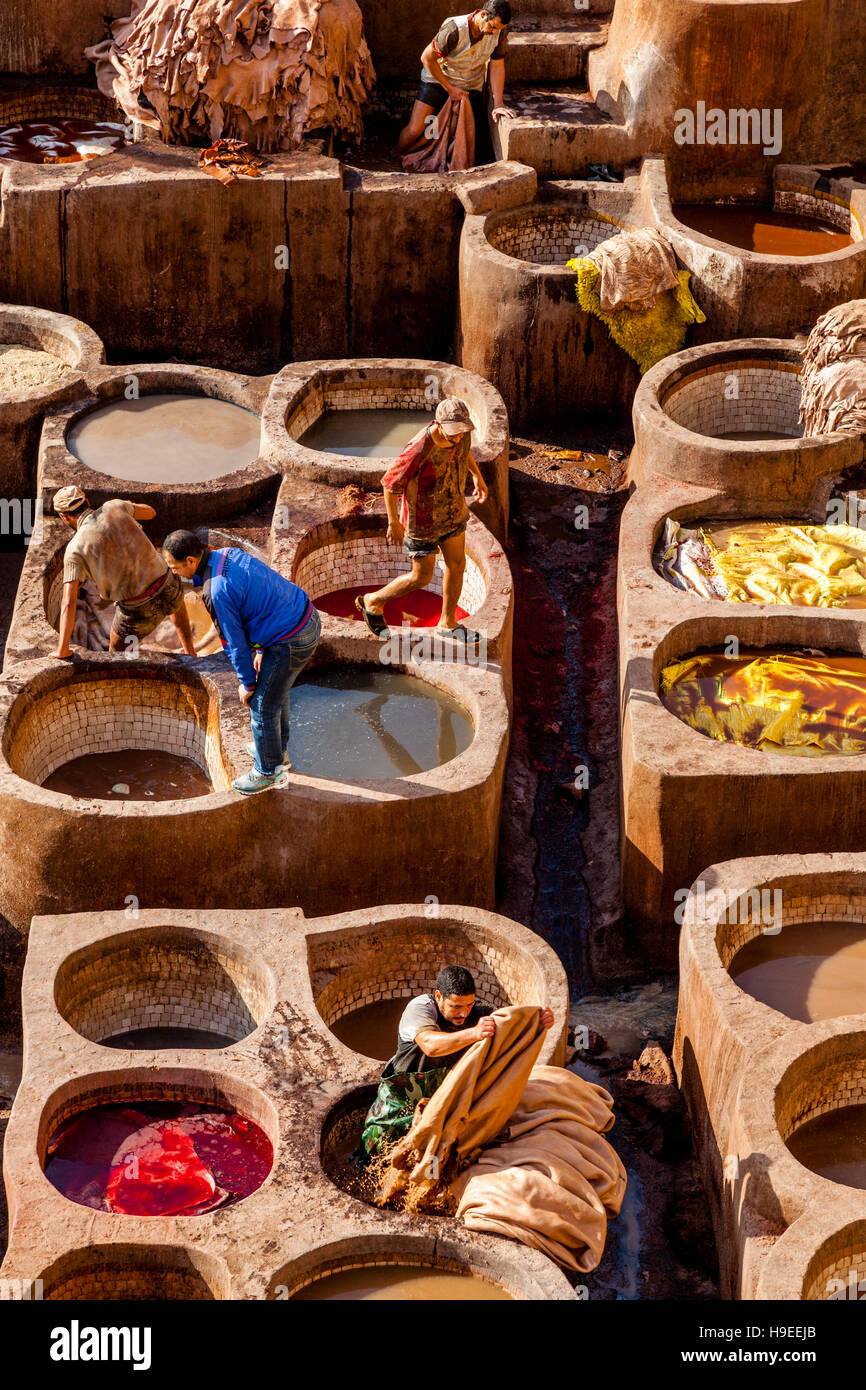 L'Chouwara tannerie dans la Médina de Fès el Bali, Fès, Maroc Banque D'Images