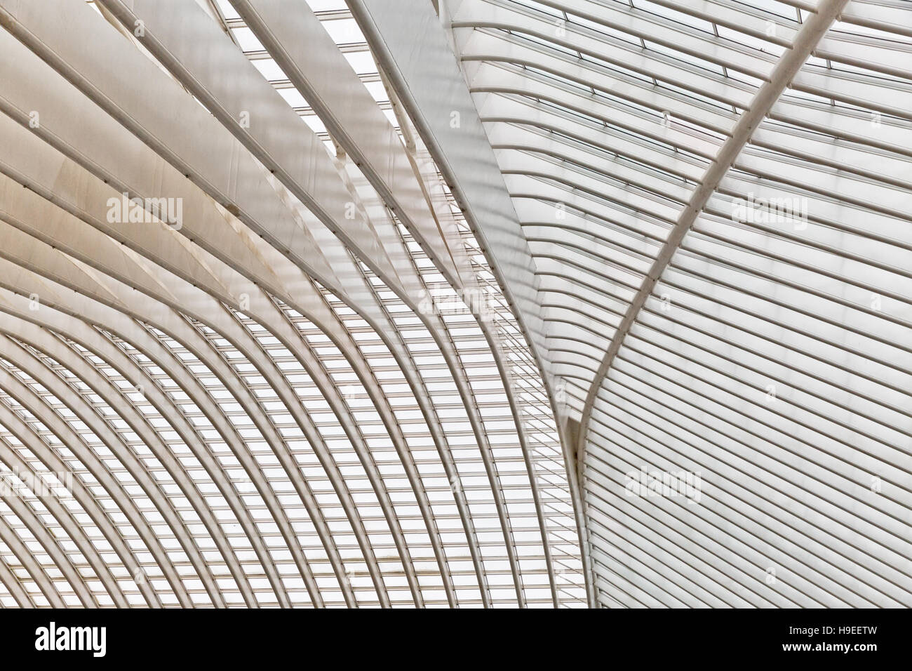 Liège, Belgique - Décembre 2014 : Abstract view sur le toit de la gare de Liège-Guillemins, conçue par Santiago Calatrava. Banque D'Images