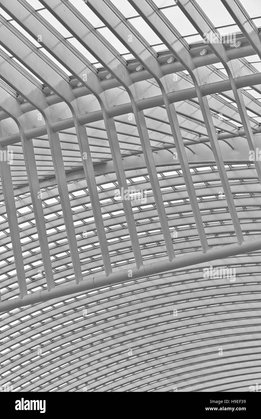 Liège, Belgique - Décembre 2014 : Abstract view sur le toit de la gare de Liège-Guillemins, conçue par Santiago Calatrava. Le noir et blanc pho Banque D'Images