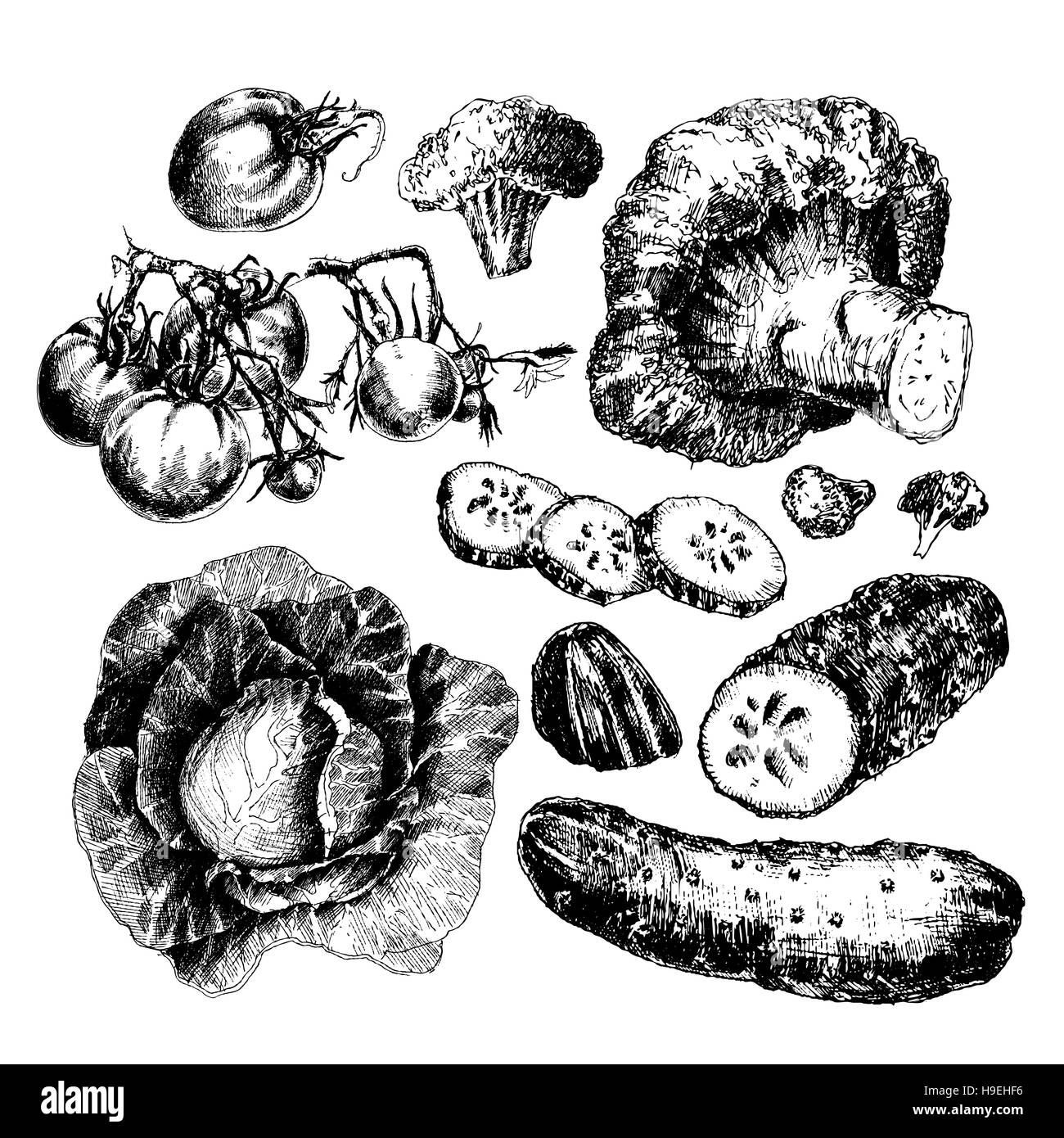 Grand ensemble de légumes dessinés à la main, isolé sur fond blanc Banque D'Images