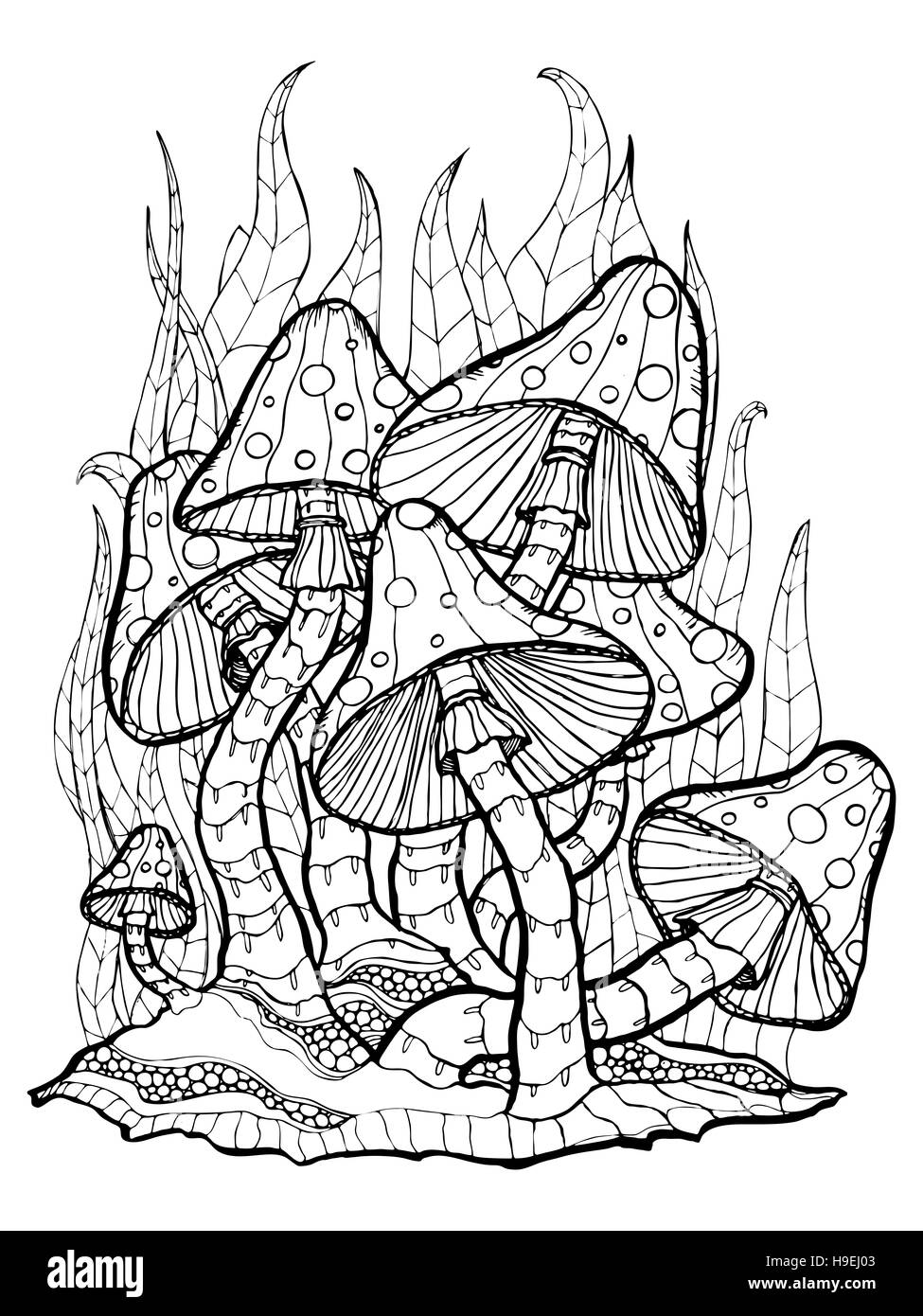 Coloriage avec champignons des bois. Contour isolé sur fond blanc Banque D'Images