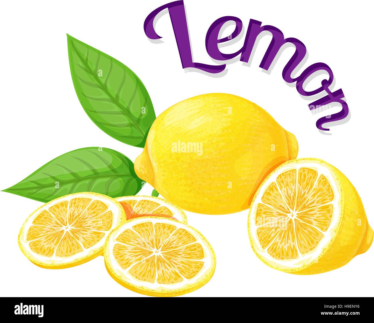 Le citron. Vector illustration Illustration de Vecteur