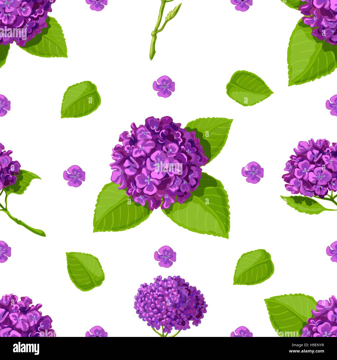 Vector Floral pattern avec hortensias. Illustration de Vecteur