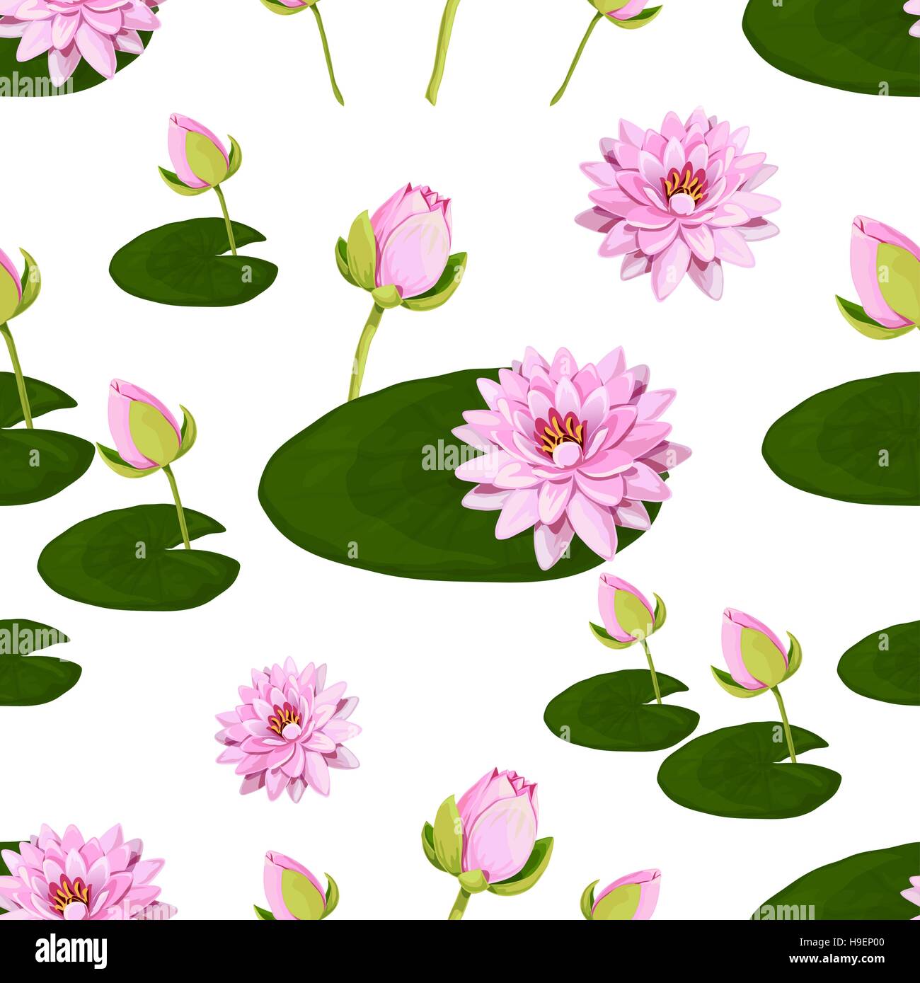 Vector Floral pattern avec des lotus. Illustration de Vecteur