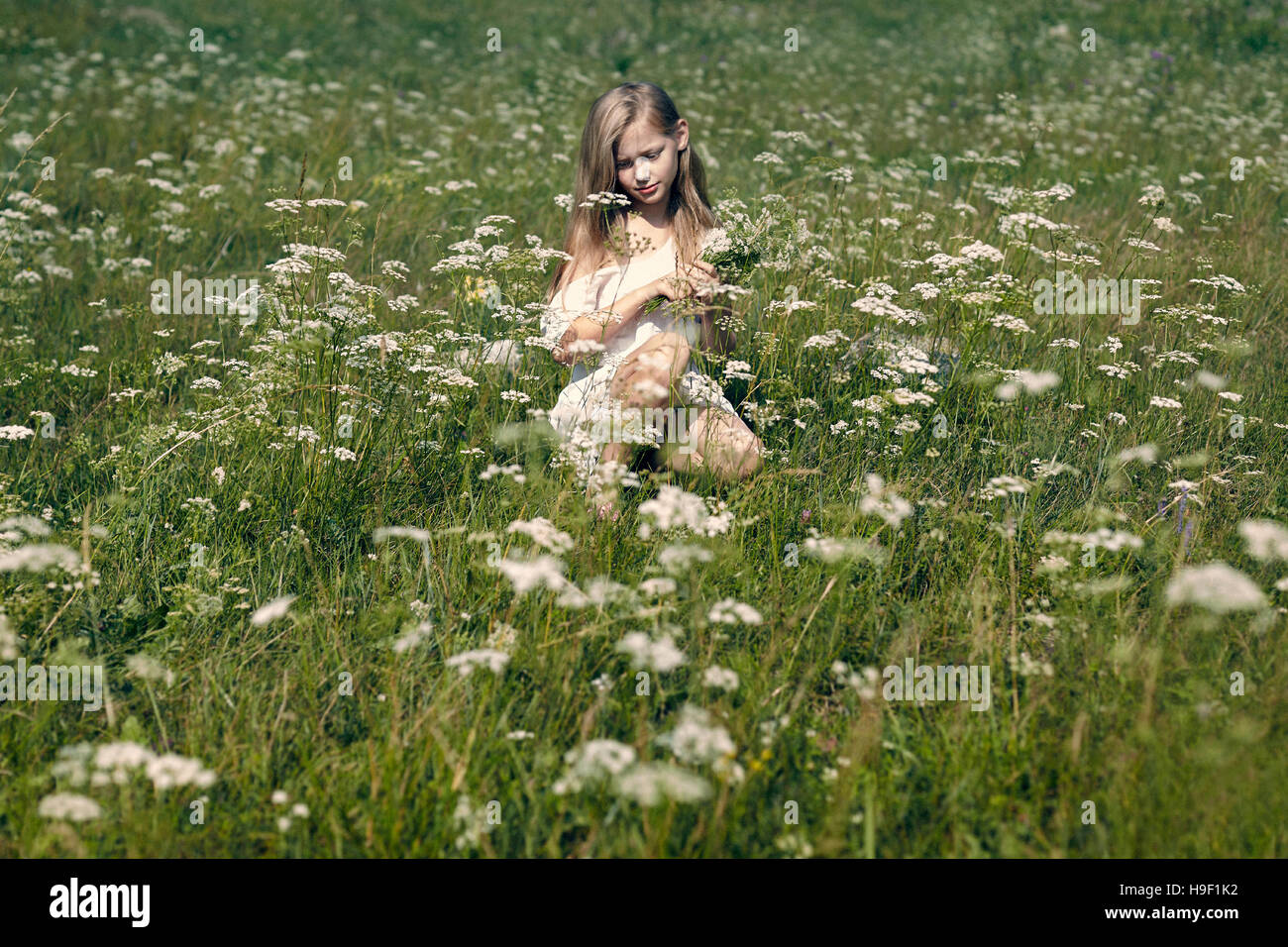 Woman crouching dans la zone picking wildflowers Banque D'Images