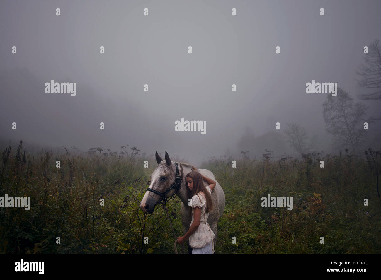 Caucasian girl petting horse en champ brumeux Banque D'Images