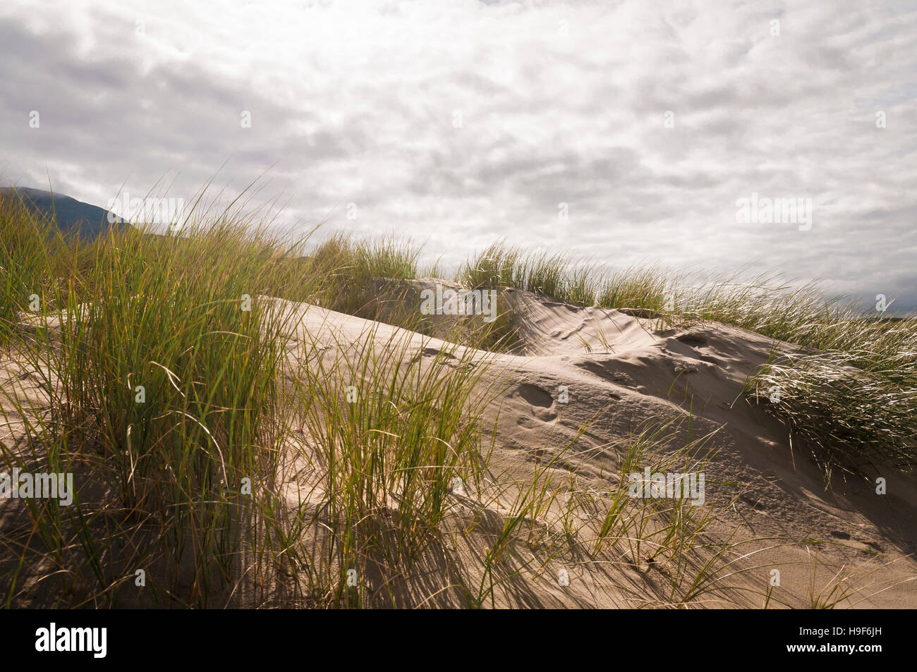 Image Paysage de Glassilaun Beach à Renvyle, Connemara, Irlande du Nord. Banque D'Images