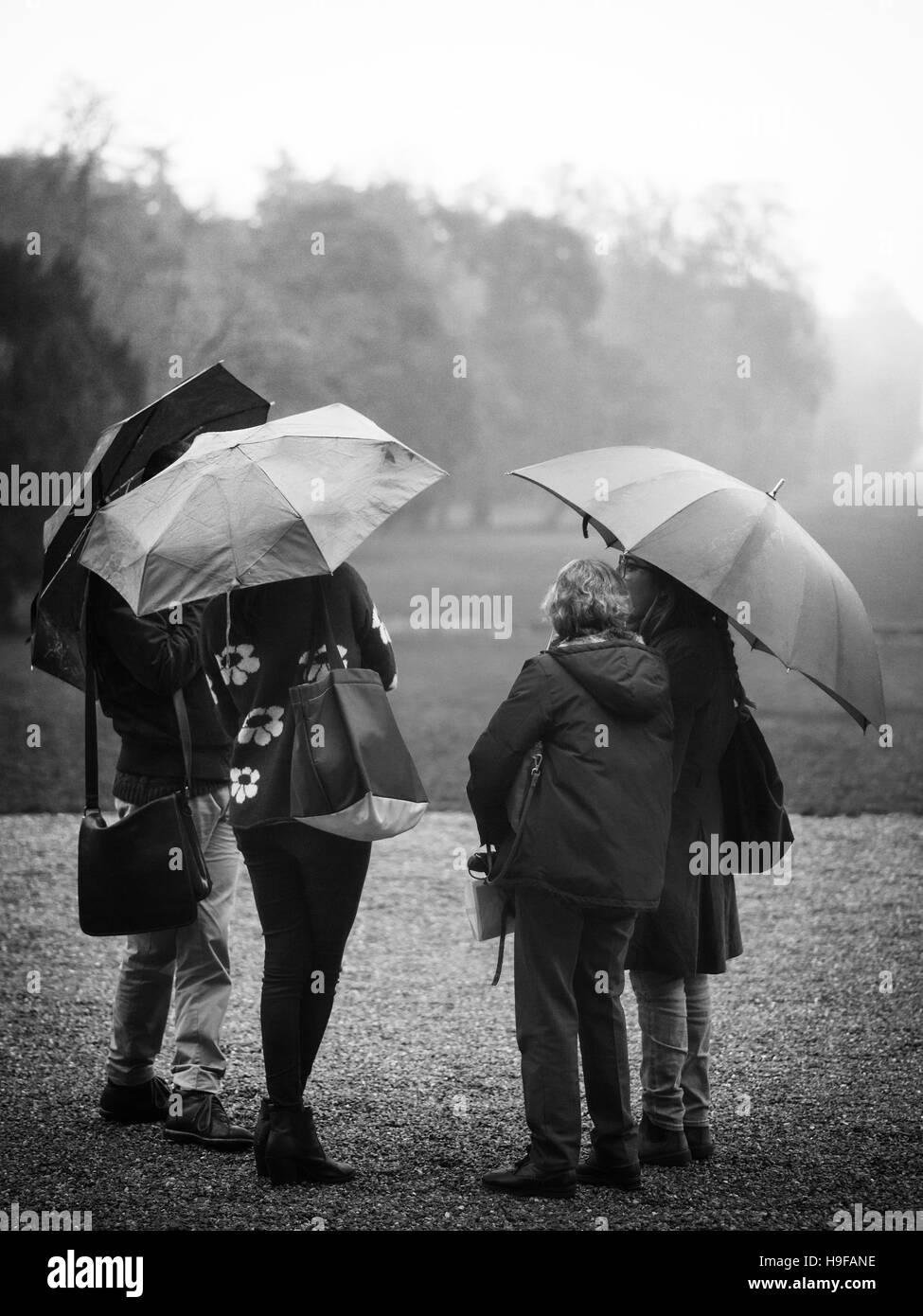 Quatre femmes bavardant se protéger de la pluie, Monza, Italie Banque D'Images