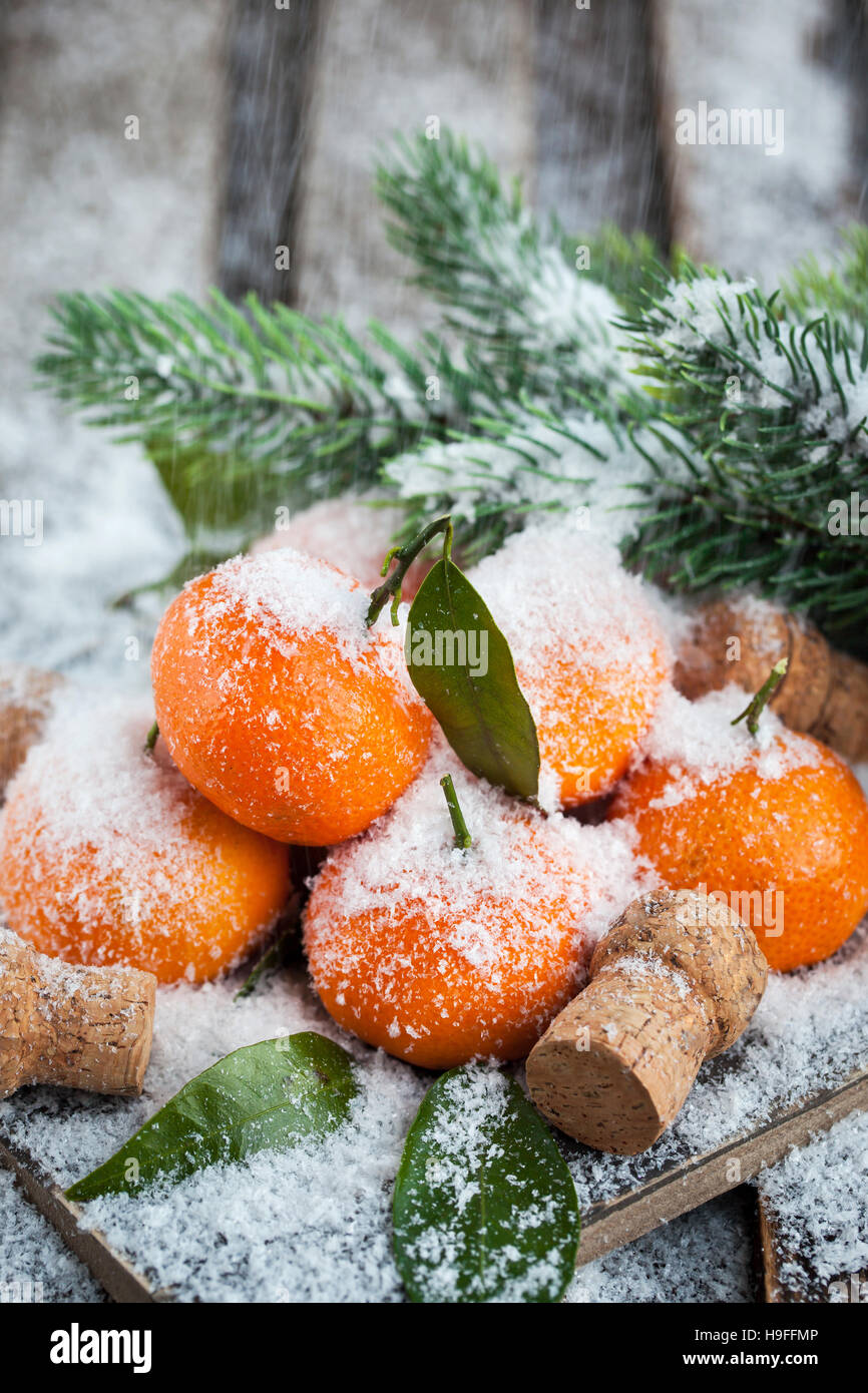 Tangerines fraîches avec des feuilles sur une table couverte de neige avec une branche de pin Banque D'Images