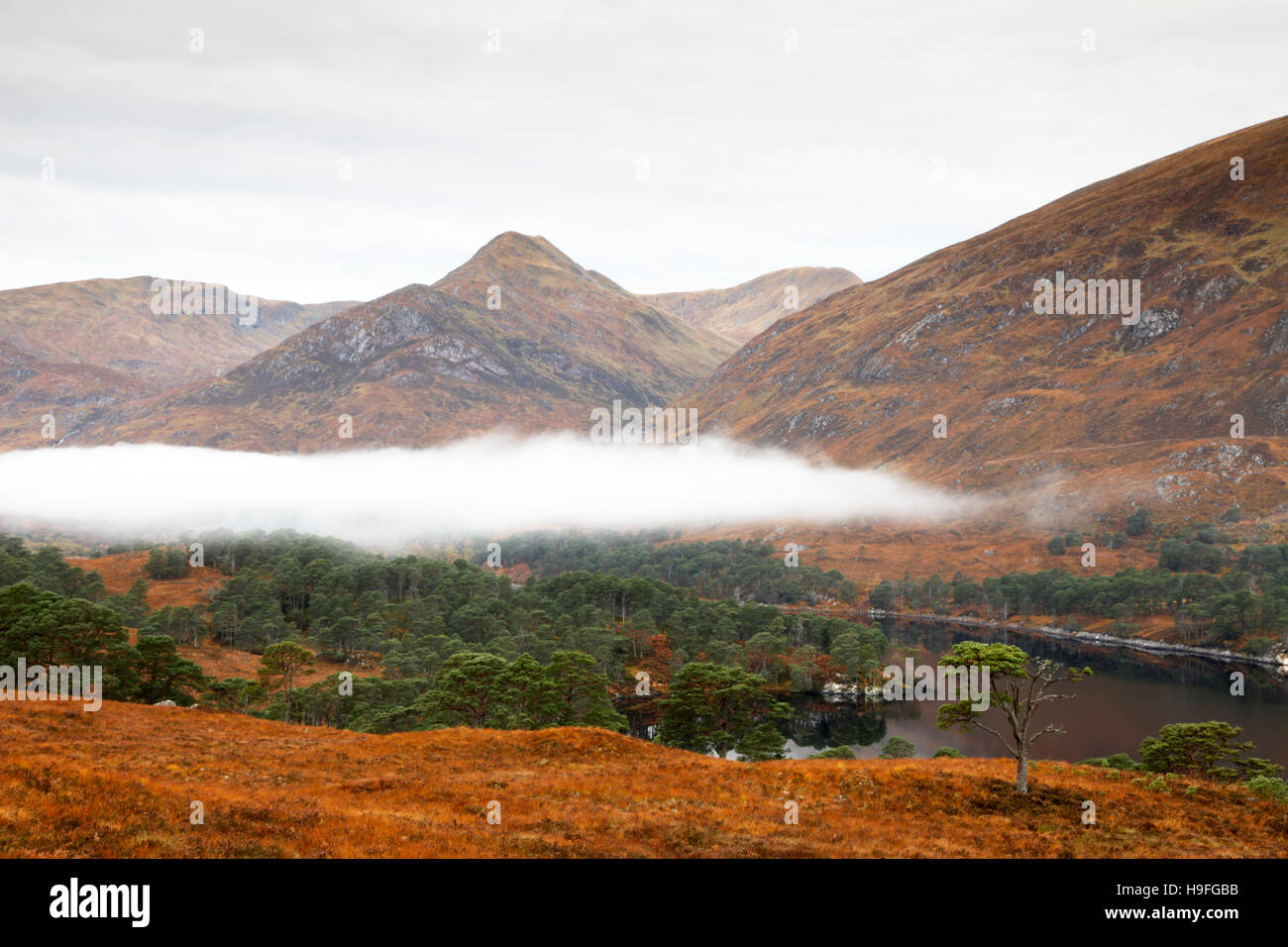 Couleurs d'automne et d'une couche de brouillard au-dessus du Loch Affric, Inverness-shire, Scotland, photographié en octobre. Banque D'Images
