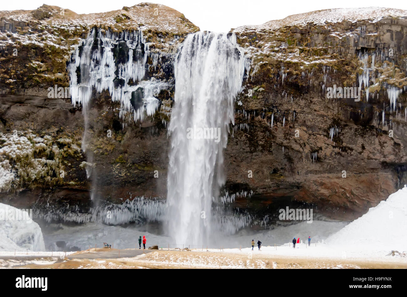 Cascade de Seljalandsfoss glaçons hiver Ring Road Côte sud de l'Islande Banque D'Images