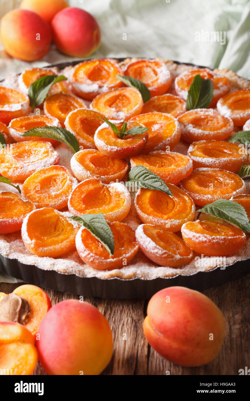 Tarte aux abricots avec du sucre en poudre et la menthe close up dans le plat de cuisson. La verticale Banque D'Images