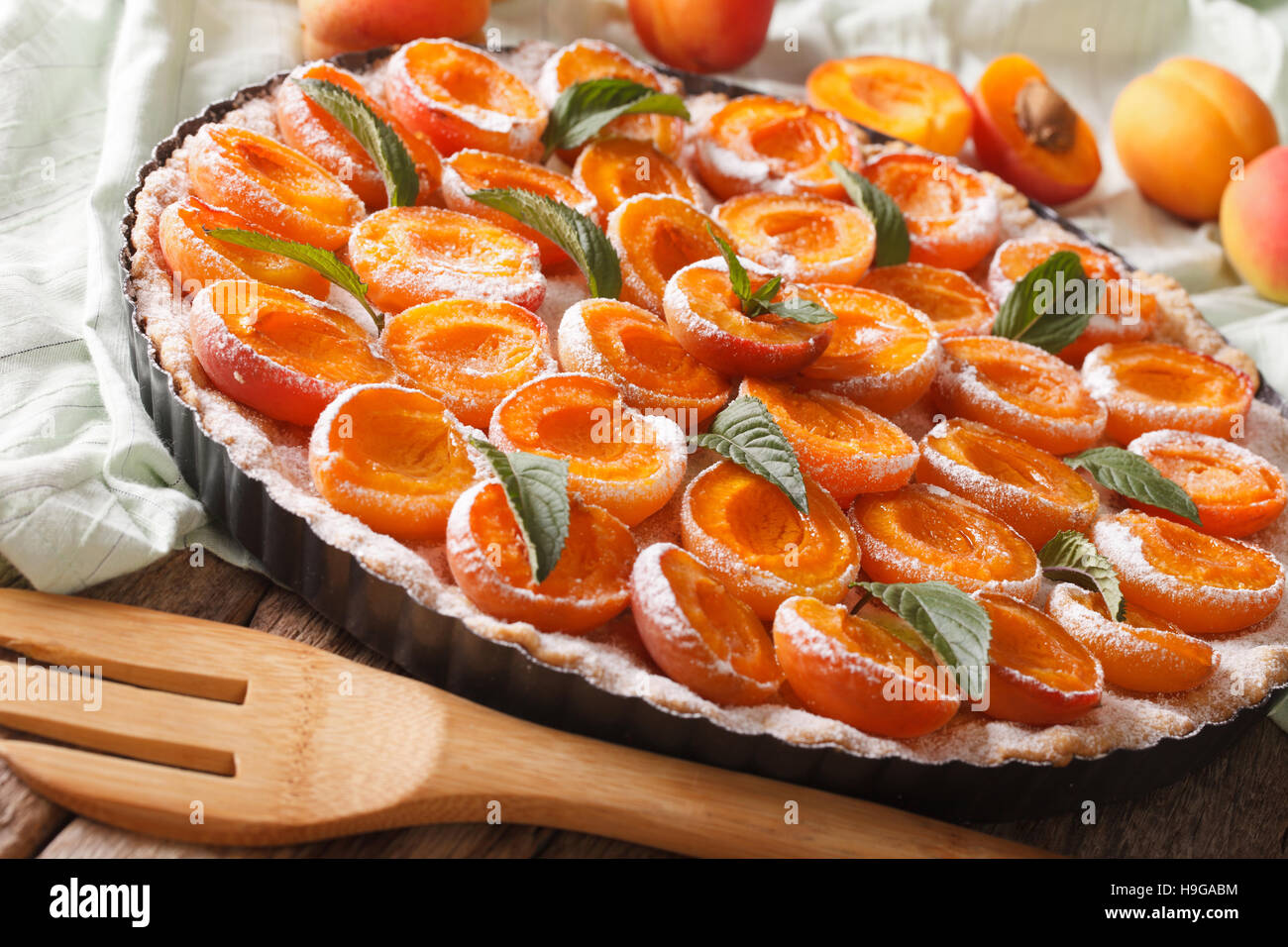 Tarte aux abricots avec du sucre en poudre et la menthe close up dans le plat de cuisson horizontale. Banque D'Images