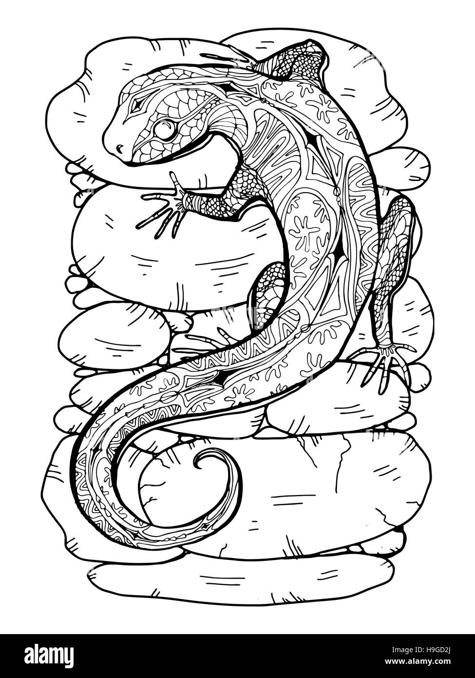 Tropical Lizard illustration pour livre de coloriage adultes. Faites à la main dessin au trait. Banque D'Images
