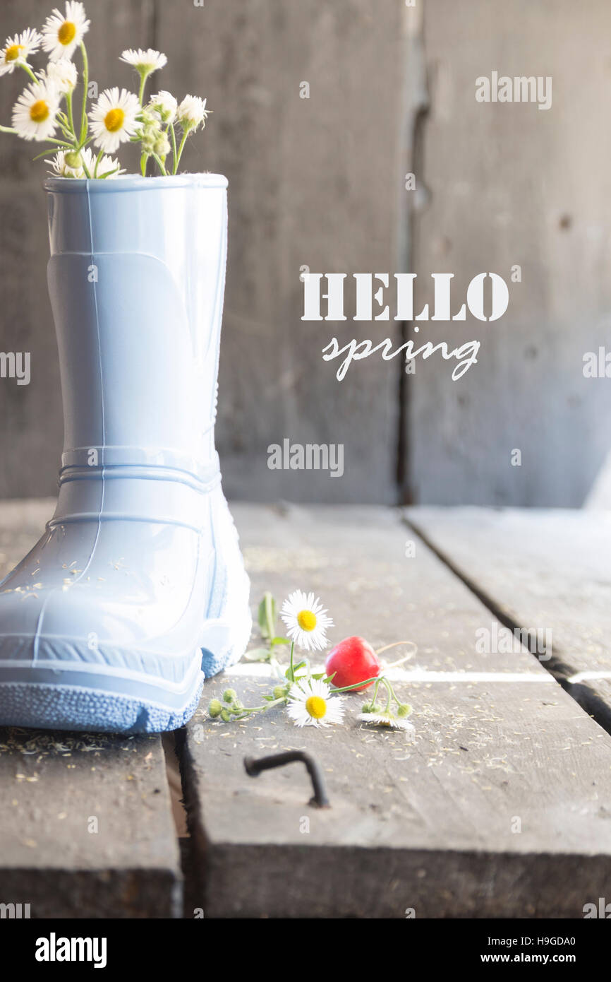 Bonjour l'automne, Daisy et bottes vintage sur une table, Banque D'Images