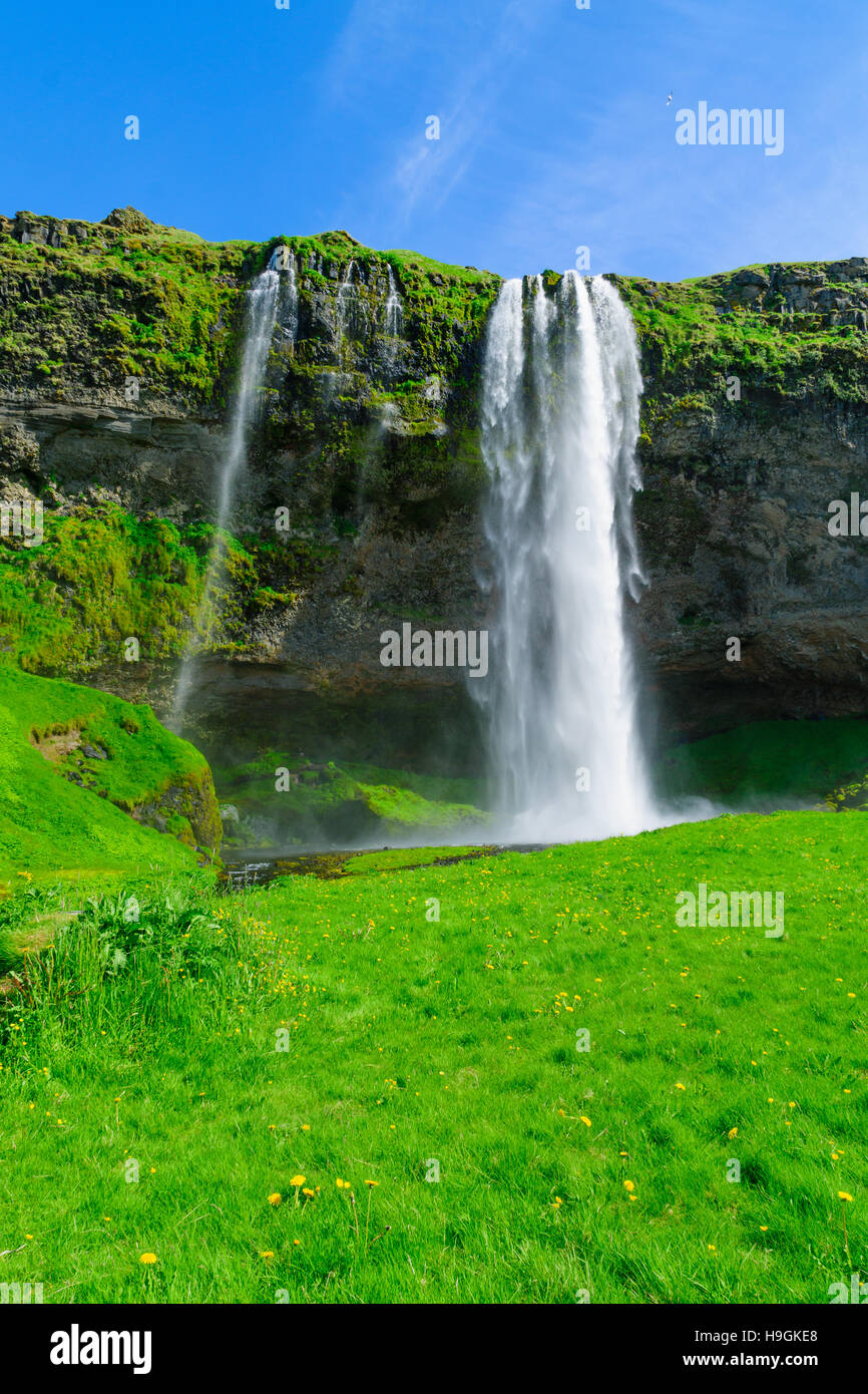 Vue de la cascade de Seljalandsfoss, dans le sud de l'Islande Banque D'Images