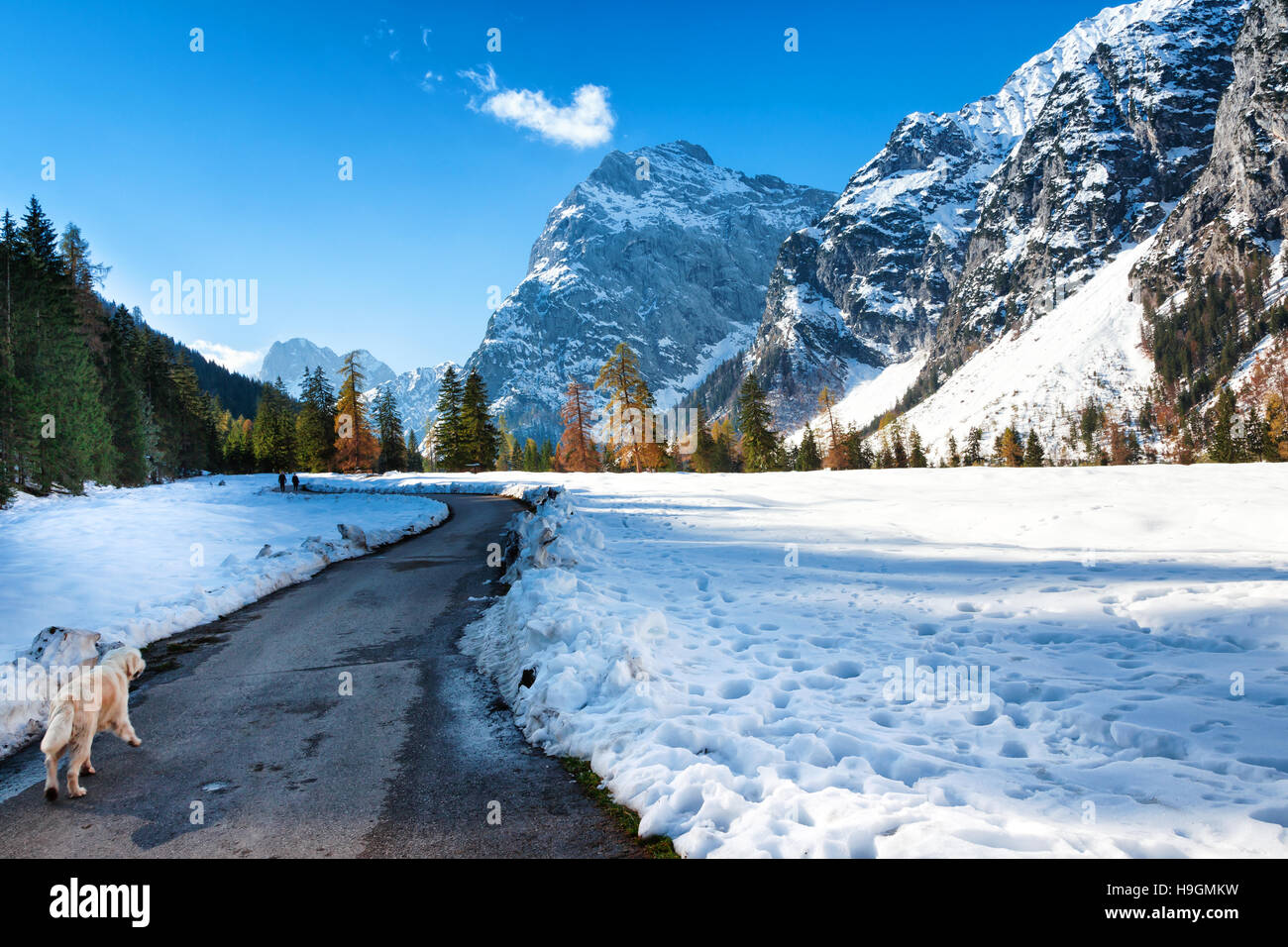 Paysage de montagne des Alpes à la fin de l'automne saison. Chute de neige au début de l'hiver et la fin de l'automne. Banque D'Images