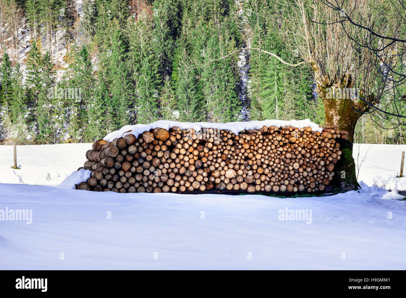 Bois de chauffage empilé. Scène rurale alpine d'hiver. Banque D'Images