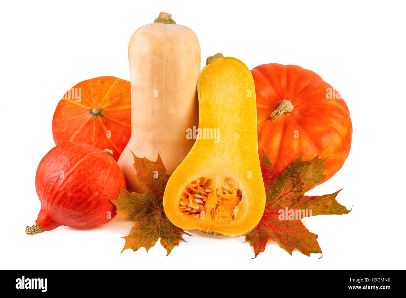 Potiron avec feuilles d'automne sur blanc. Divers Des citrouilles orange isolé sur fond blanc. Banque D'Images