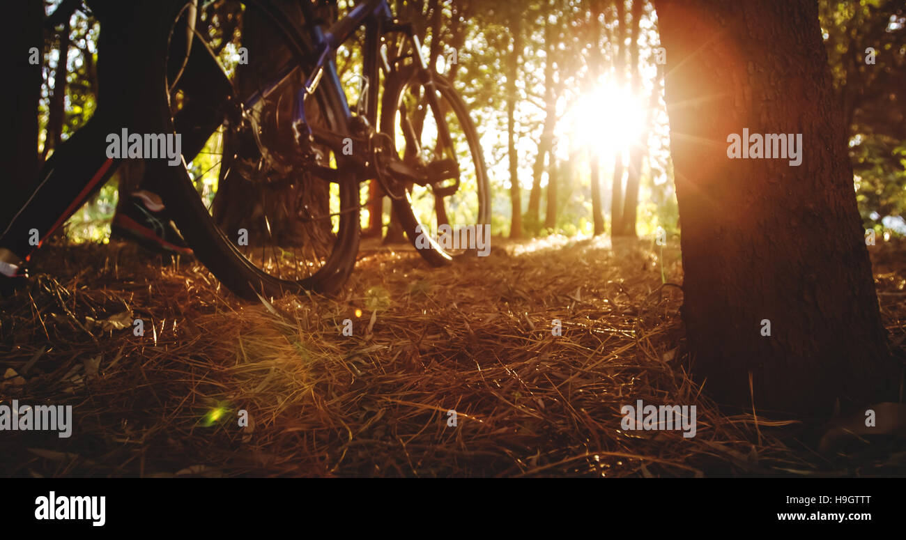 1900 Femelle à vélo en campagne Banque D'Images