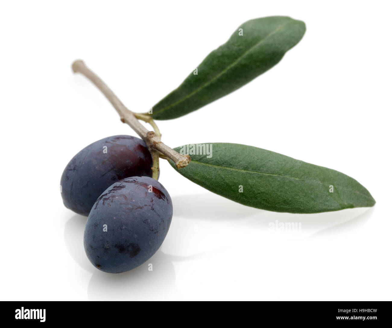 Olive noire avec des feuilles vertes isolé sur fond blanc. Banque D'Images
