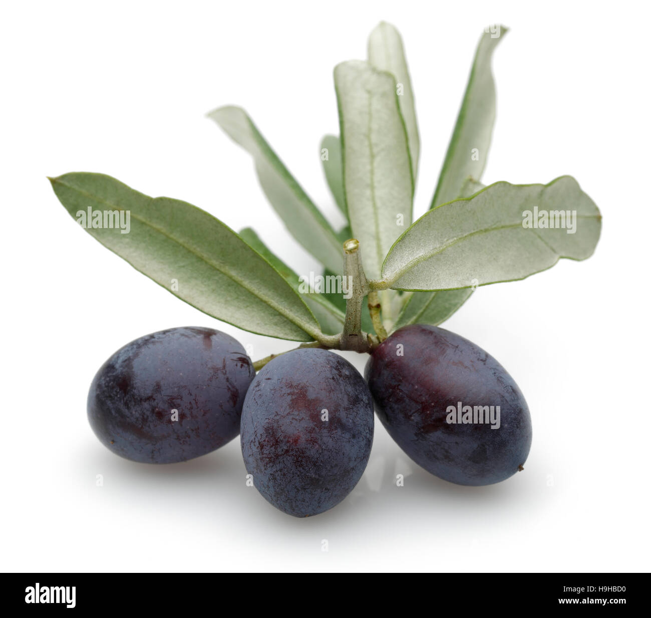 Olive noire avec des feuilles vertes isolé sur fond blanc. Banque D'Images