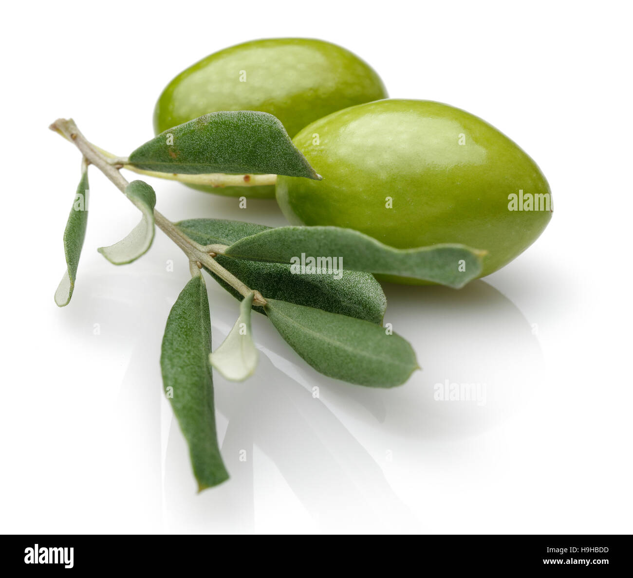 D'Olive verte avec des feuilles vertes isolé sur fond blanc. Banque D'Images