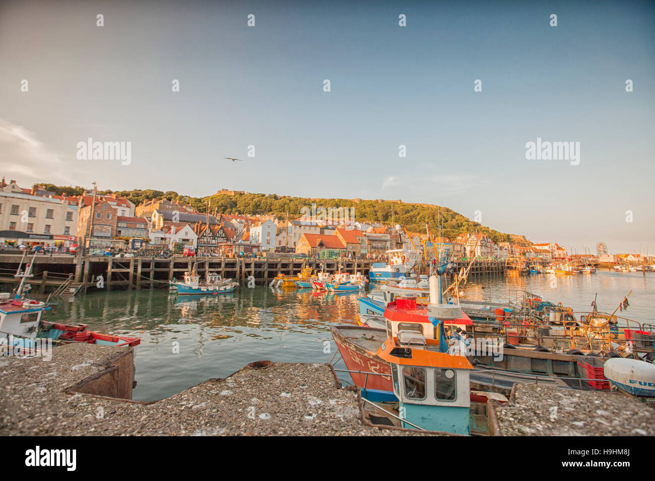 Bateaux dans port en été à Scarborough, Angleterre Banque D'Images