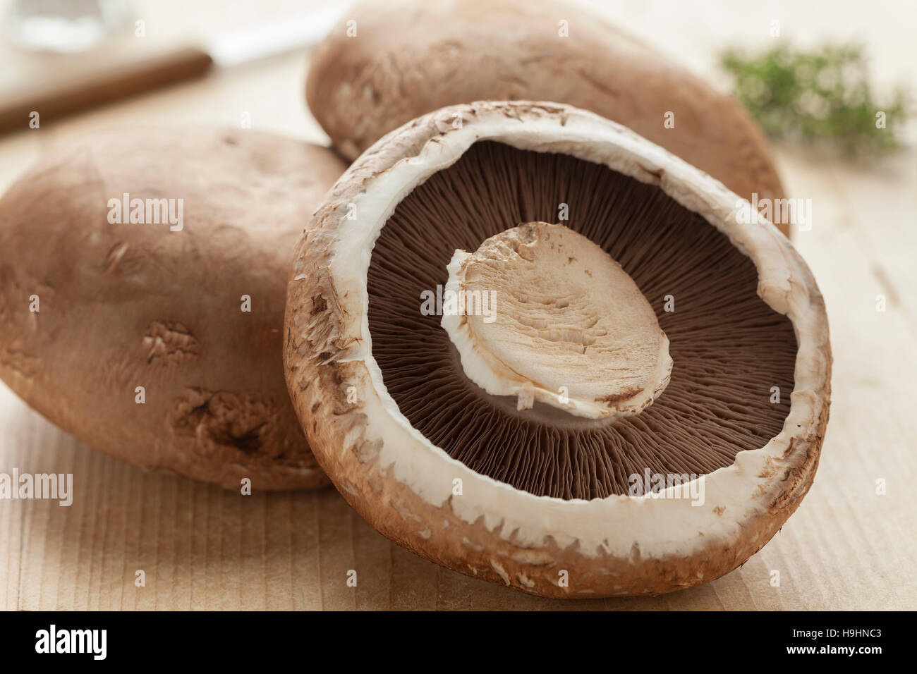 Champignons Portobello biologiques crus frais Banque D'Images