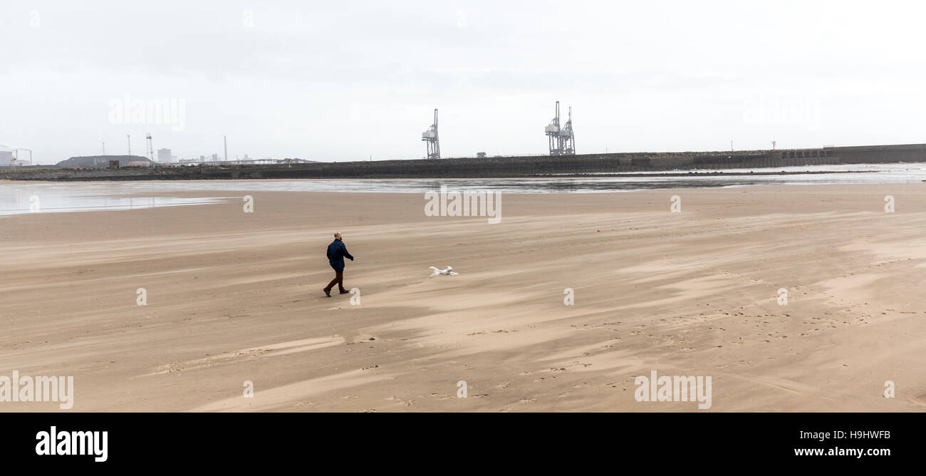L'homme avec l'exécution de chien sur plage, Aberavon, Pays de Galles, Royaume-Uni Banque D'Images
